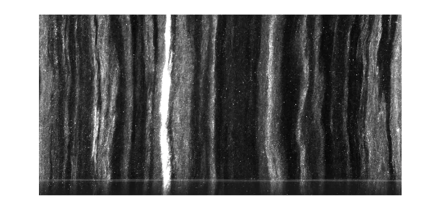 Stratigraphic scan