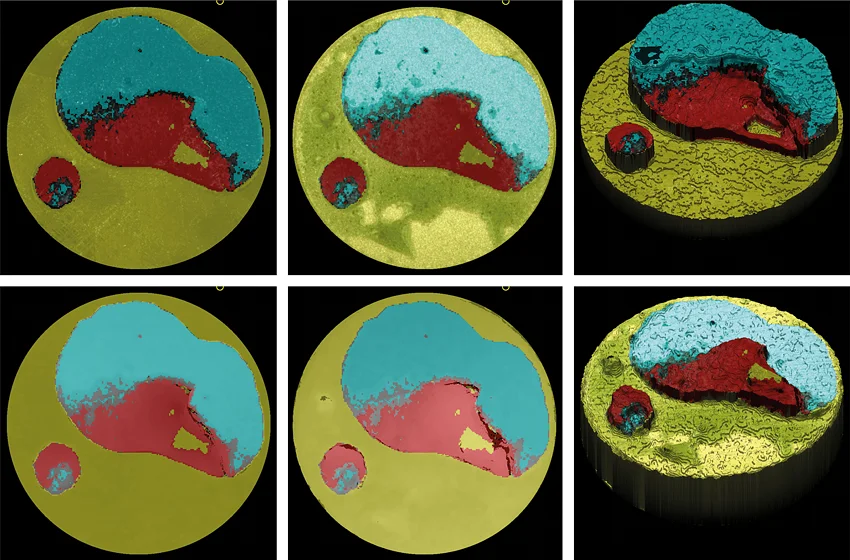 AdheScan Quantifiable results